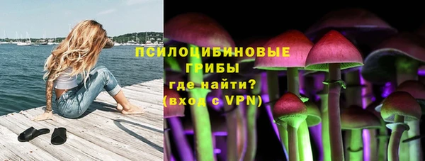 герыч Бородино