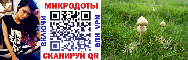 Псилоцибиновые грибы мицелий  наркота  Дедовск 